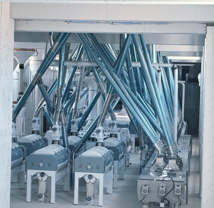  Sistema de molienda con capacidad de procesamiento de trigo de 500 toneladas/día en sistemas de molino en un edificio de varios pisos en Irak.